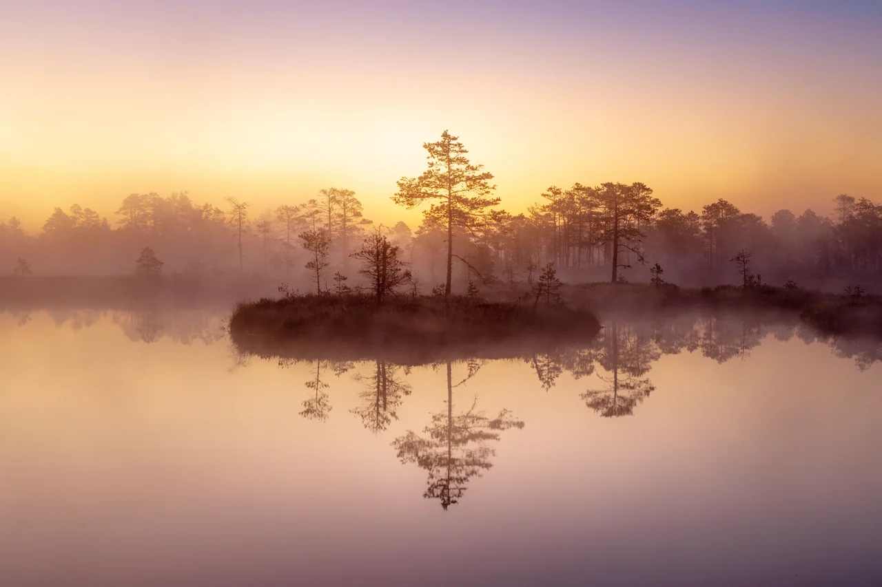 Sunrise over a misty lake with a small wooded island